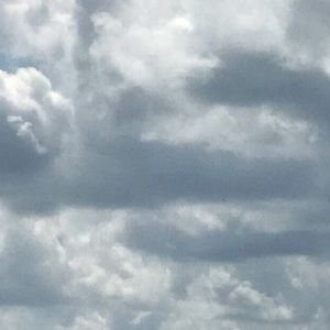 Meet your Posher, Shelly